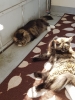 20190627_161026.jpg