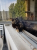 20190630_183018.jpg