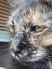 20190718_210719.jpg