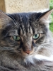 20190718_210849.jpg