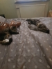 20190720_174553.jpg