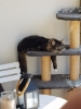 20190724_104949.jpg