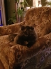 20191115_191603.jpg