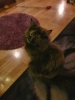 20191221_200236.jpg