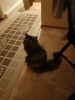 20191227_170949.jpg