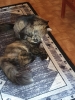 20200708_165553.jpg