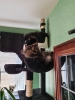20200911_132424.jpg