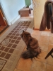 20220513_084713.jpg