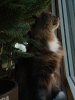 20250831_082506.jpg