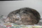 PICT2435.jpg