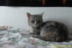 PICT2442.jpg