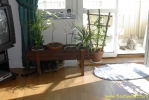 PICT2461.jpg
