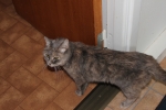 Filename=Phillipa_001.JPG
Filesize=1752KiB
Dimensions=2048x1365
Date added=Sep 13, 2011 Phillipa_001.JPG