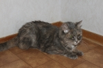 Filename=Phillipa_002.JPG
Filesize=1833KiB
Dimensions=2048x1365
Date added=Sep 13, 2011 Phillipa_002.JPG