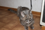 Phillipa_007.JPG
