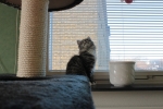 Wilma_och_Wilmer_006.JPG
