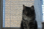 Wilma_och_Wilmer_007.JPG