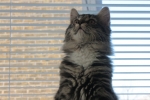 Wilma_och_Wilmer_008.JPG