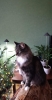 received_527217607928212.jpeg
