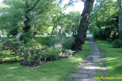 PICT0652.jpg