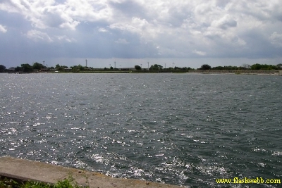 PICT0704.jpg