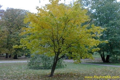 PICT1805.jpg