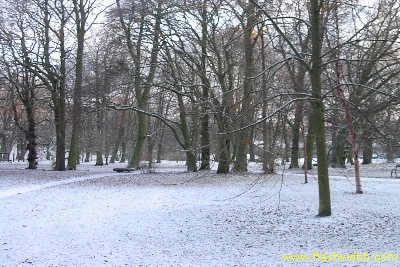 PICT2122.jpg