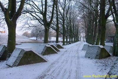 PICT2125.jpg