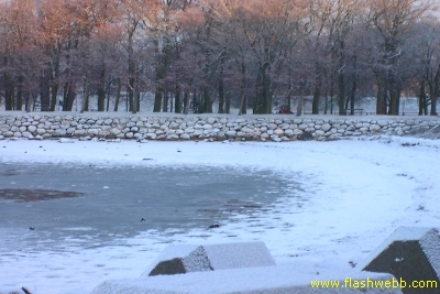 PICT2136.jpg