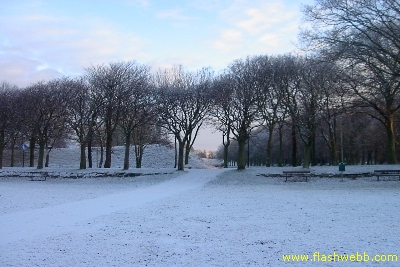 PICT2142.jpg