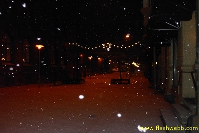 PICT2239.jpg