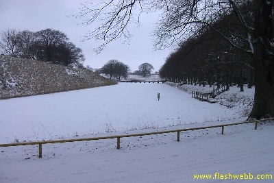 PICT2258.jpg