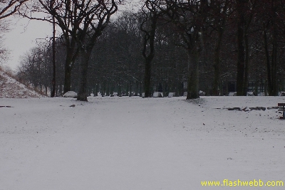 PICT2269.jpg