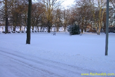 PICT2331.jpg