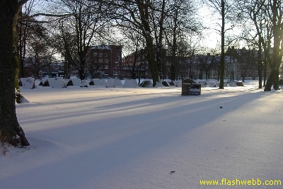 PICT2344.jpg