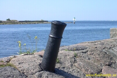 PICT3551.jpg