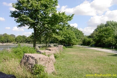 PICT3569.jpg
