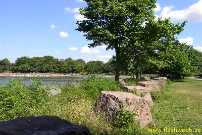 PICT3570.jpg