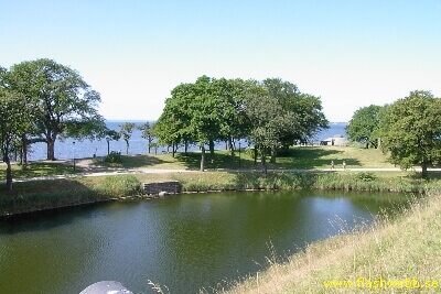 PICT3589.jpg
