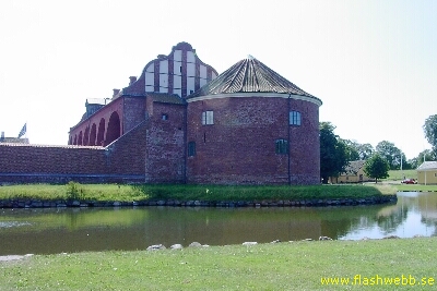 PICT3595.jpg