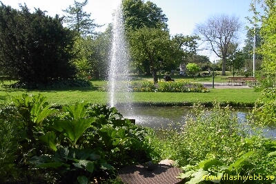 PICT3623.jpg