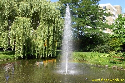 PICT3627.jpg