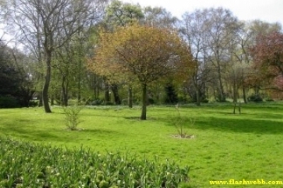 Pict0275.jpg