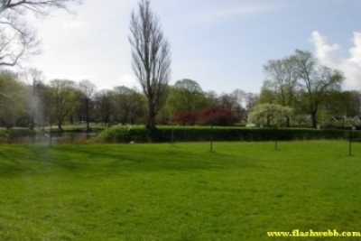 Pict0278.jpg