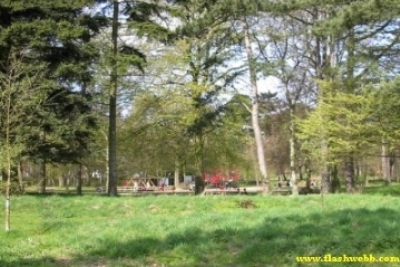 Pict0281.jpg