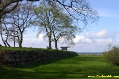 Pict0294.jpg