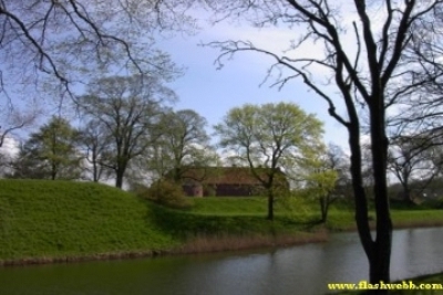 Pict0301.jpg