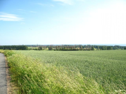 2007-07-12_17_36_32_JPG.jpg