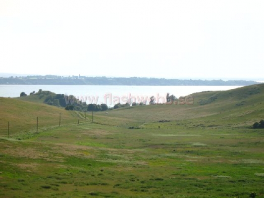2007-07-12_17_43_01_JPG.jpg