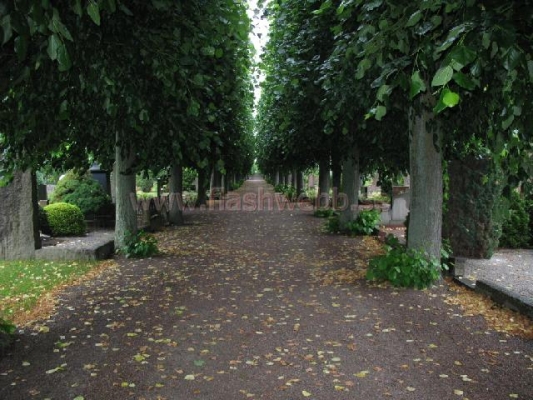 2007-07-16_13_41_31_JPG.jpg